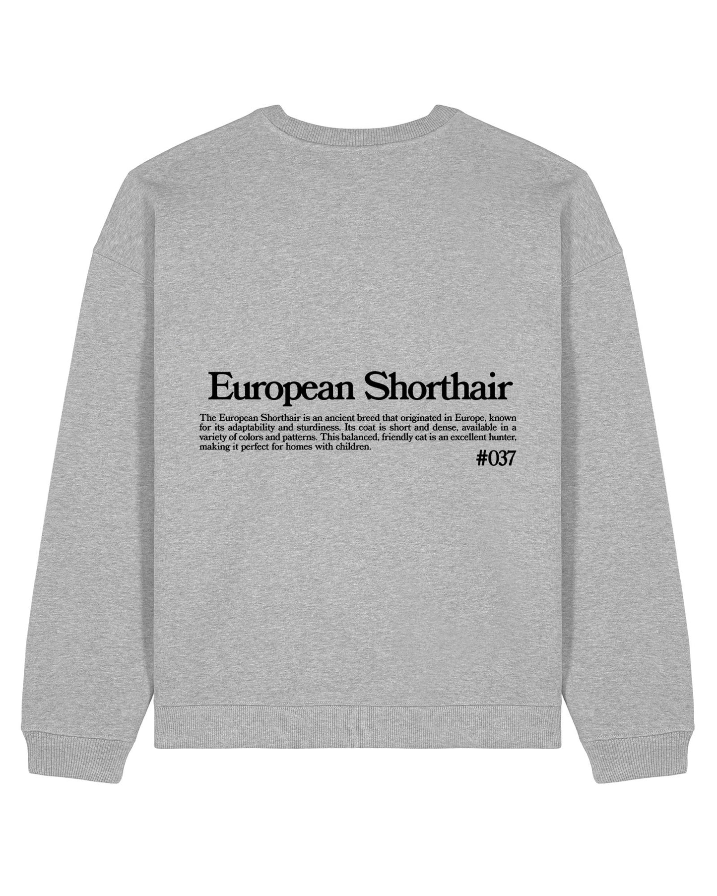 COMÚN EUROPEO SUDADERA