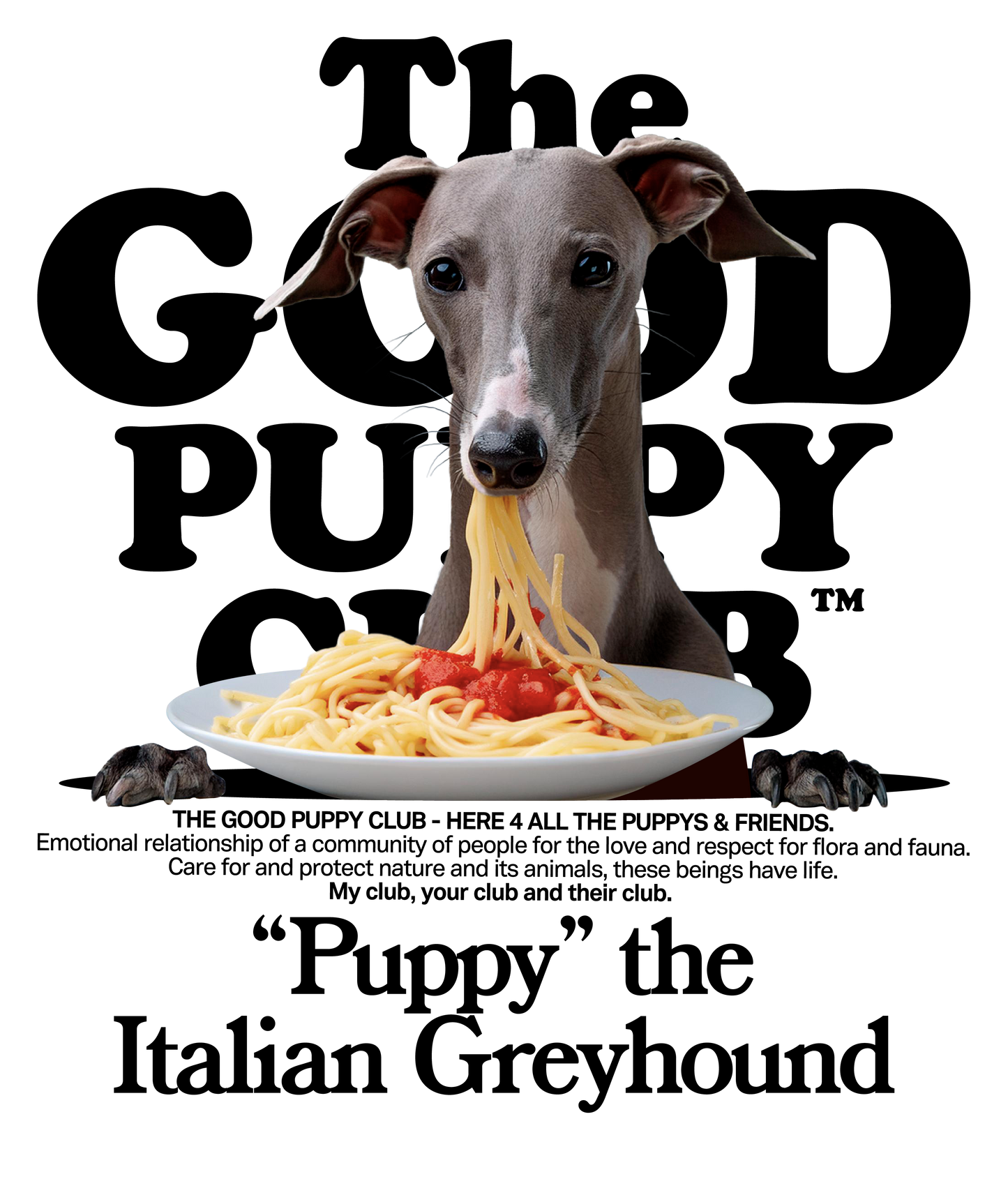 GALGO ITALIANO CAMISETA