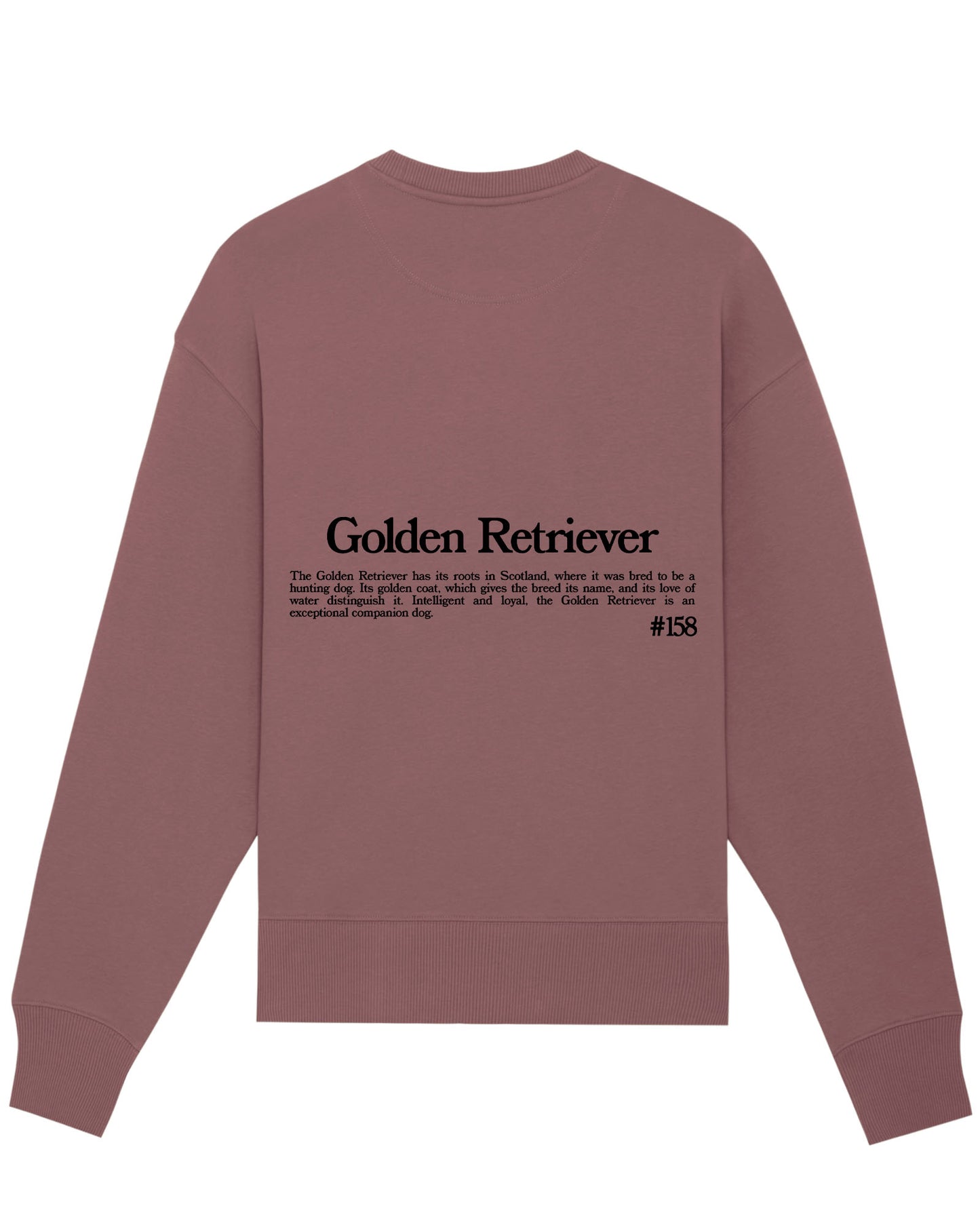 GOLDEN RETRIEVER SUDADERA