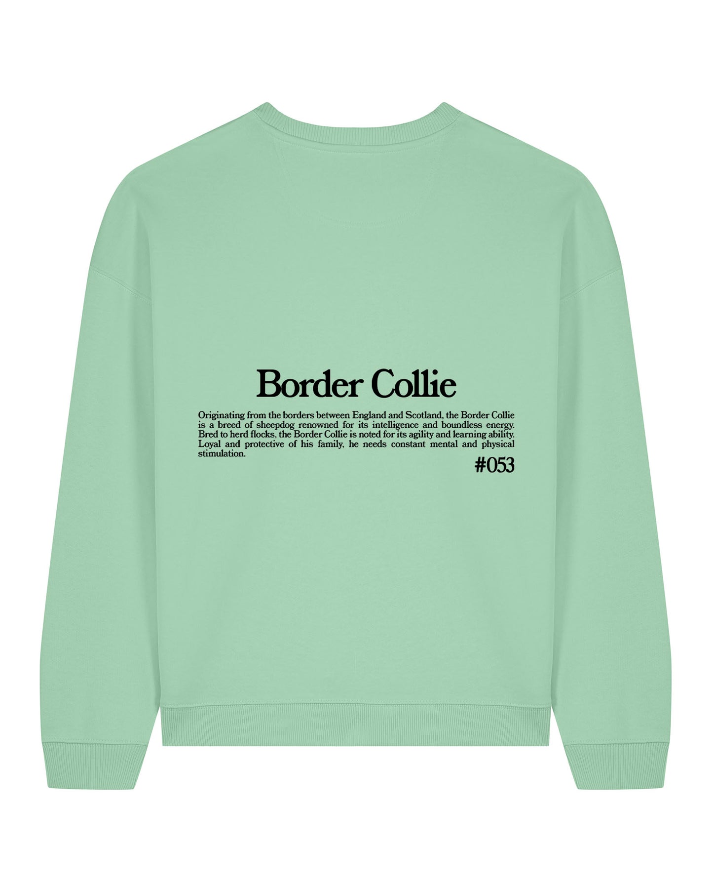 BORDER COLLIE SUDADERA