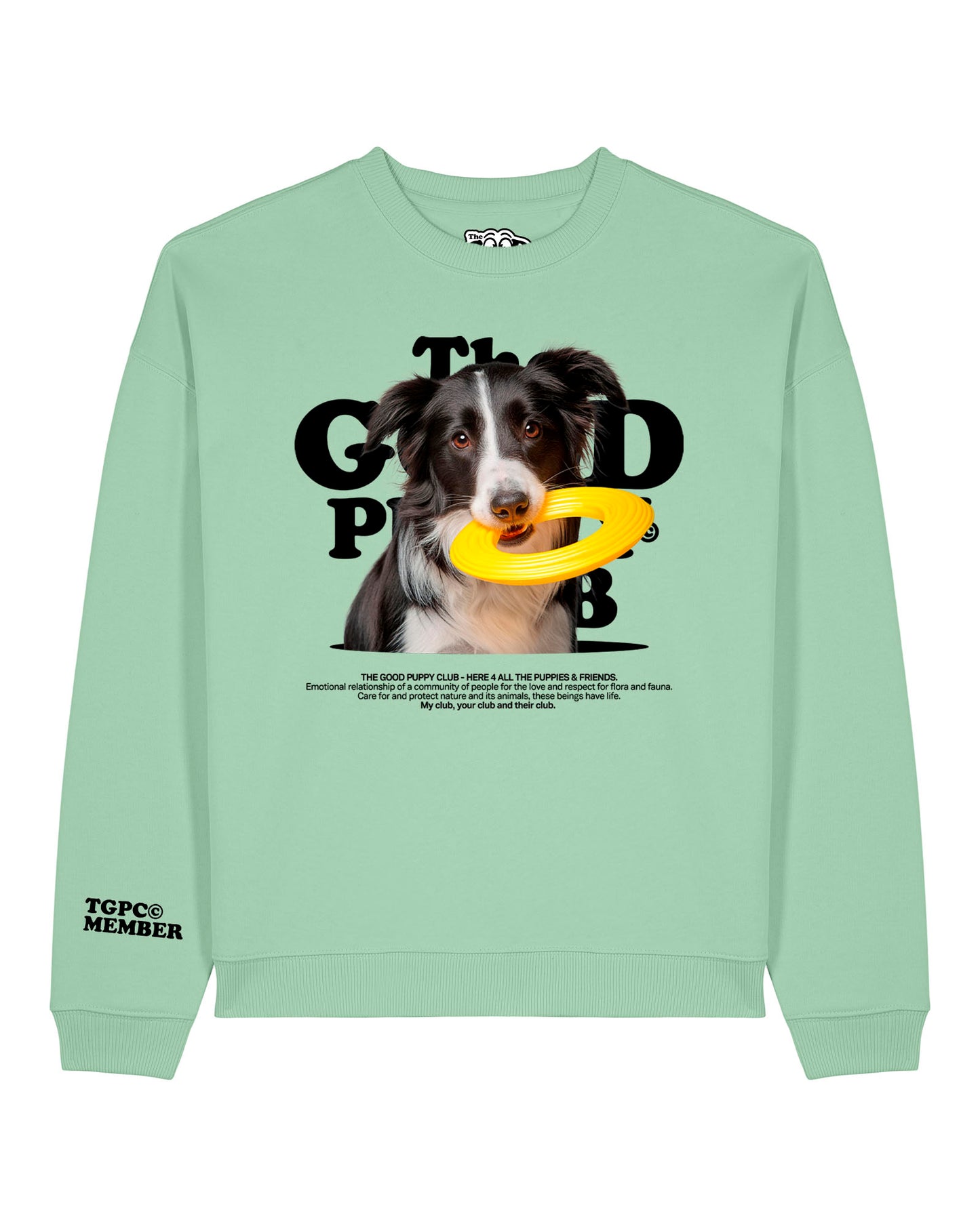 BORDER COLLIE SUDADERA