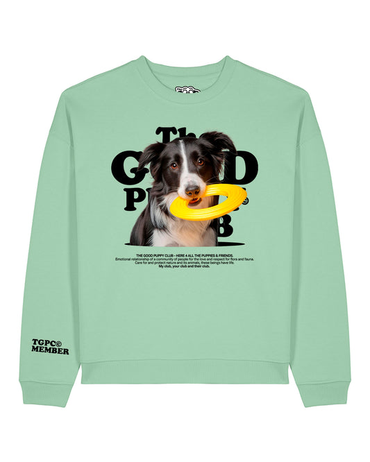 BORDER COLLIE SUDADERA