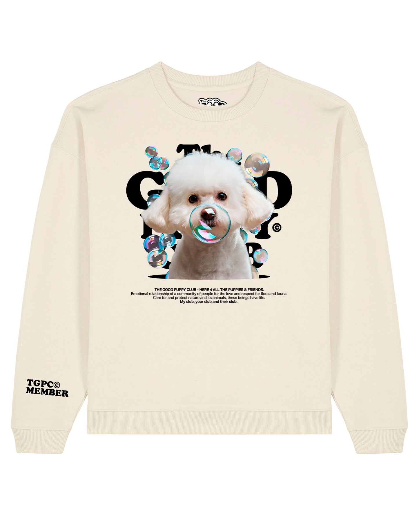 BICHÓN FRISÉ SUDADERA