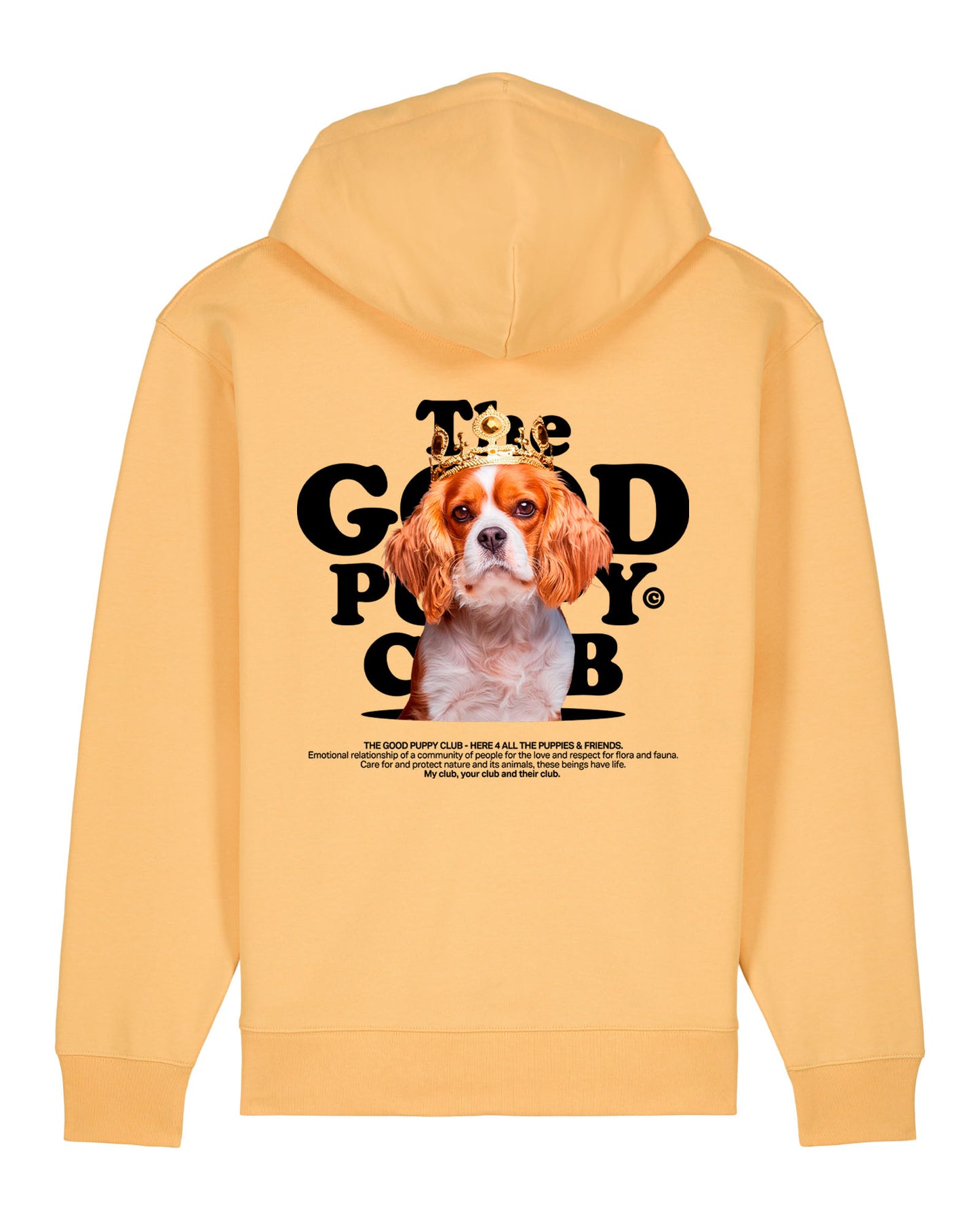 CAVALIER KING CHARLES SPANIEL SUDADERA CON CREMALLERA BUSTO