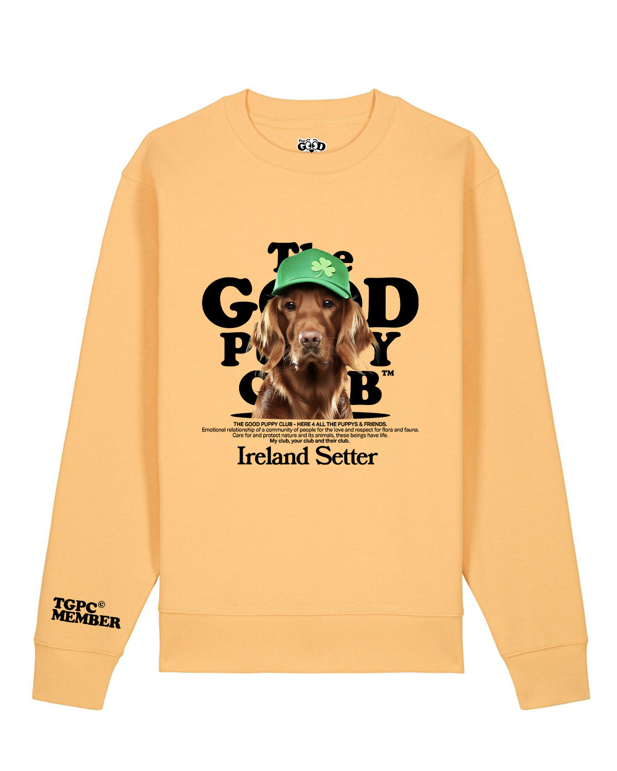 SETTER IRLANDÉS SUDADERA