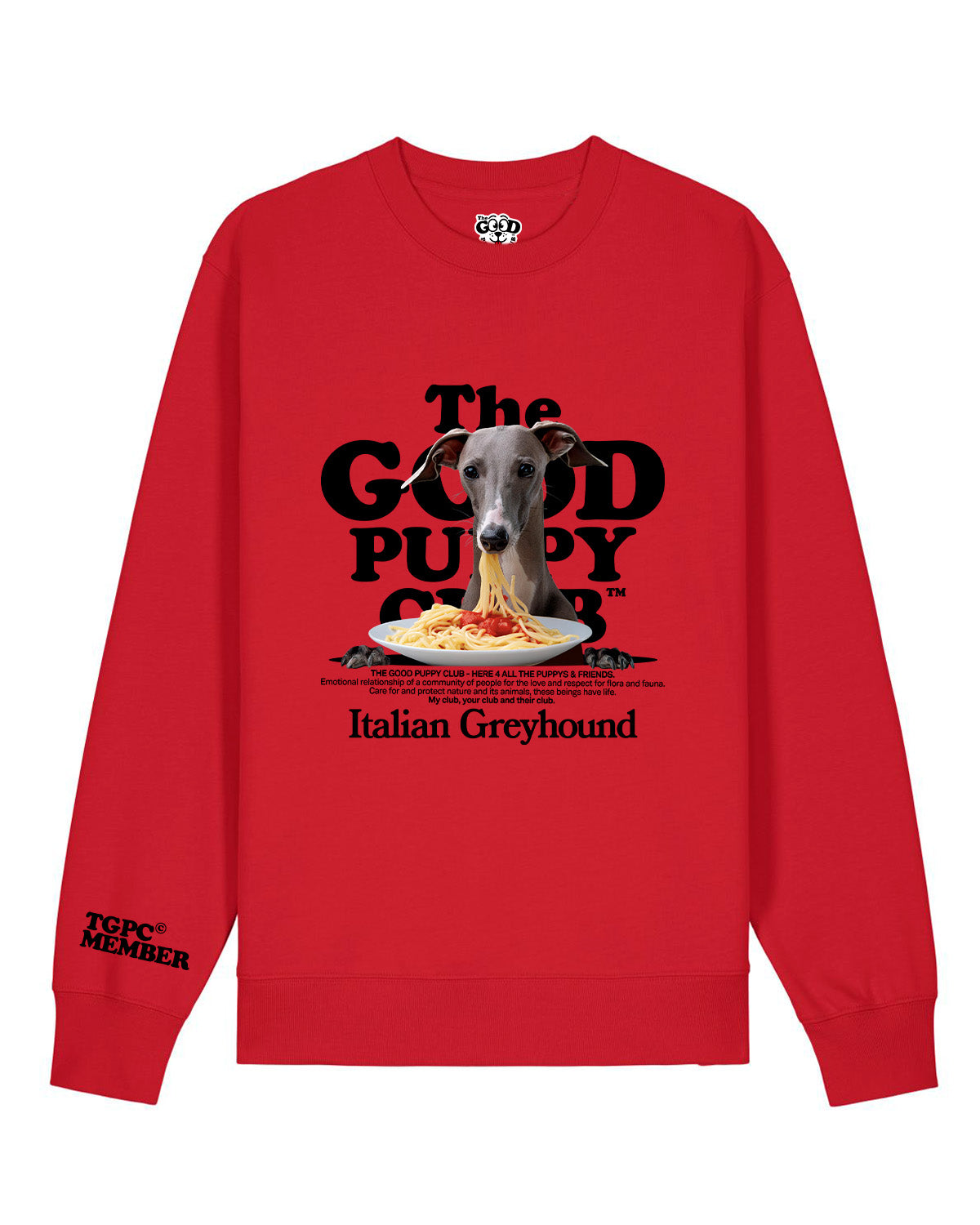 GALGO ITALIANO SUDADERA