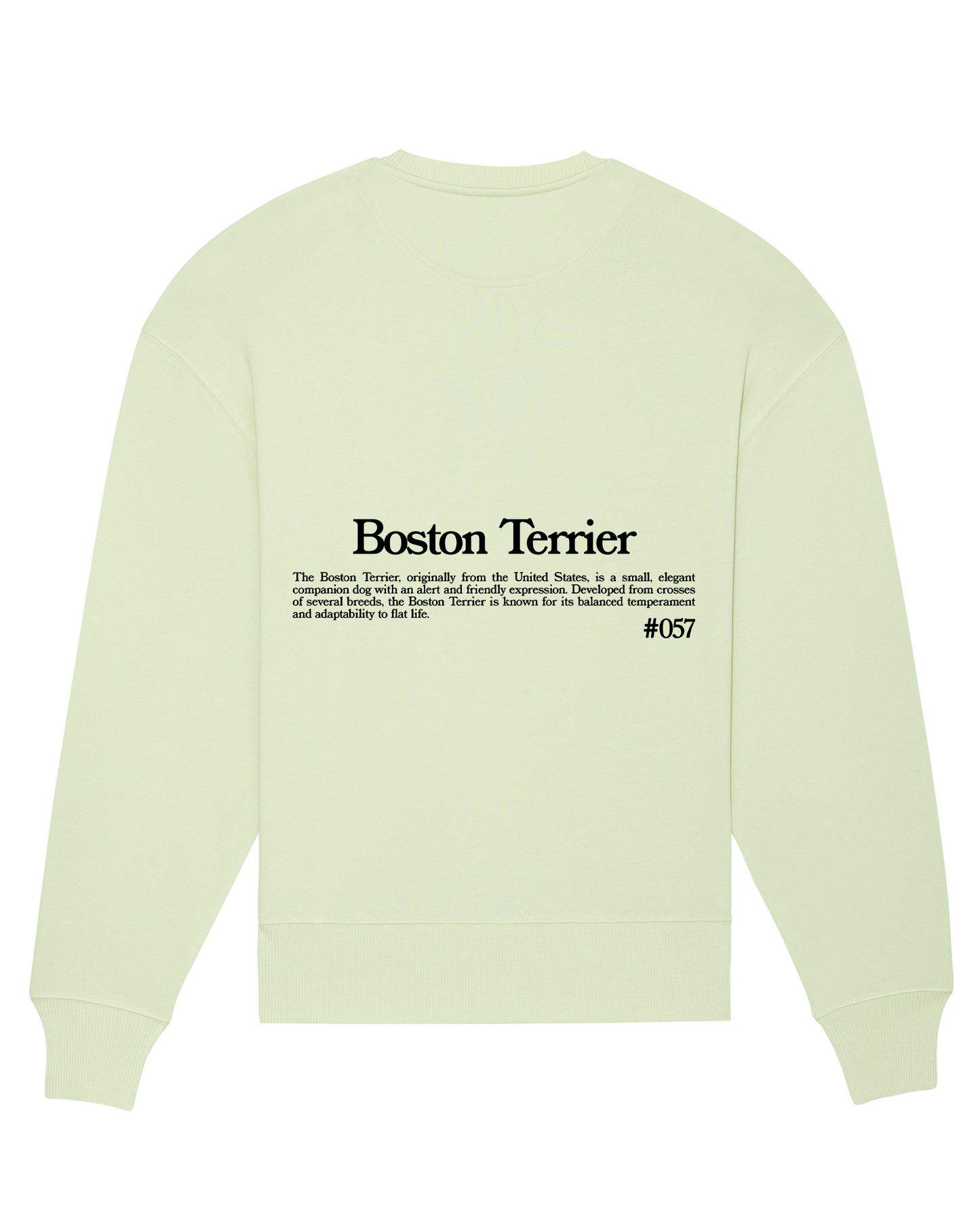 BOSTON TERRIER SUDADERA