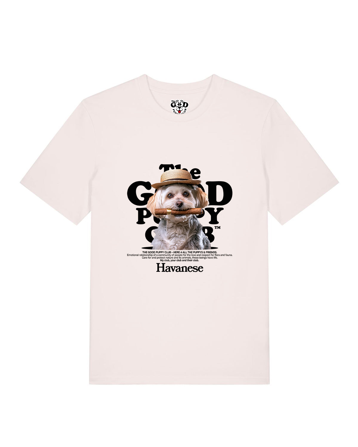 BICHÓN HABANERO CAMISETA BUSTOS