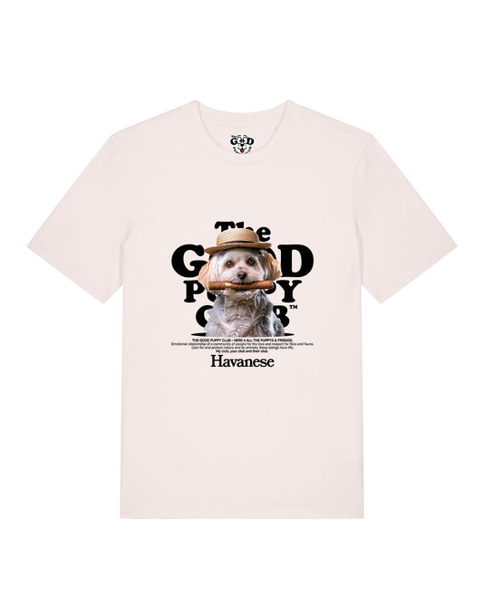 BICHÓN HABANERO CAMISETA BUSTOS