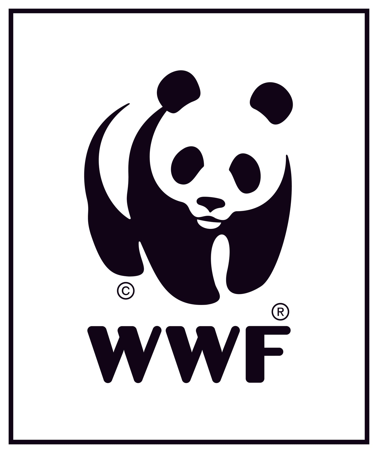 Donation to World Wildlife Fund