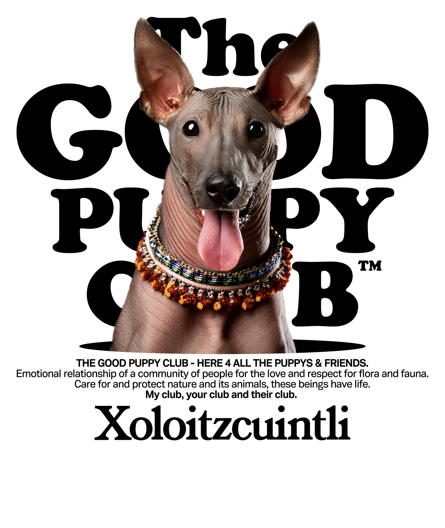 XOLOITZCUINTLI SUDADERA